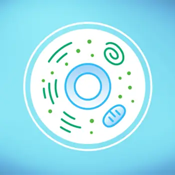 Illustration of a cell